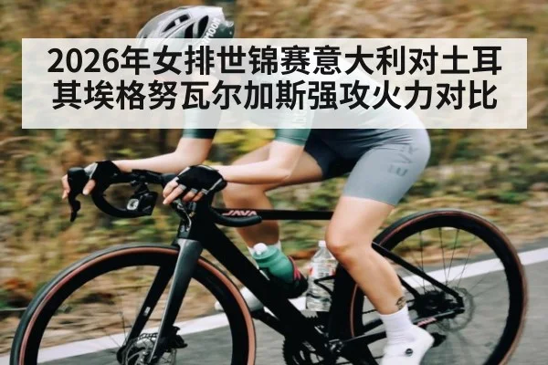 2026年女排世锦赛意大利对土耳其埃格努瓦尔加斯强攻火力对比